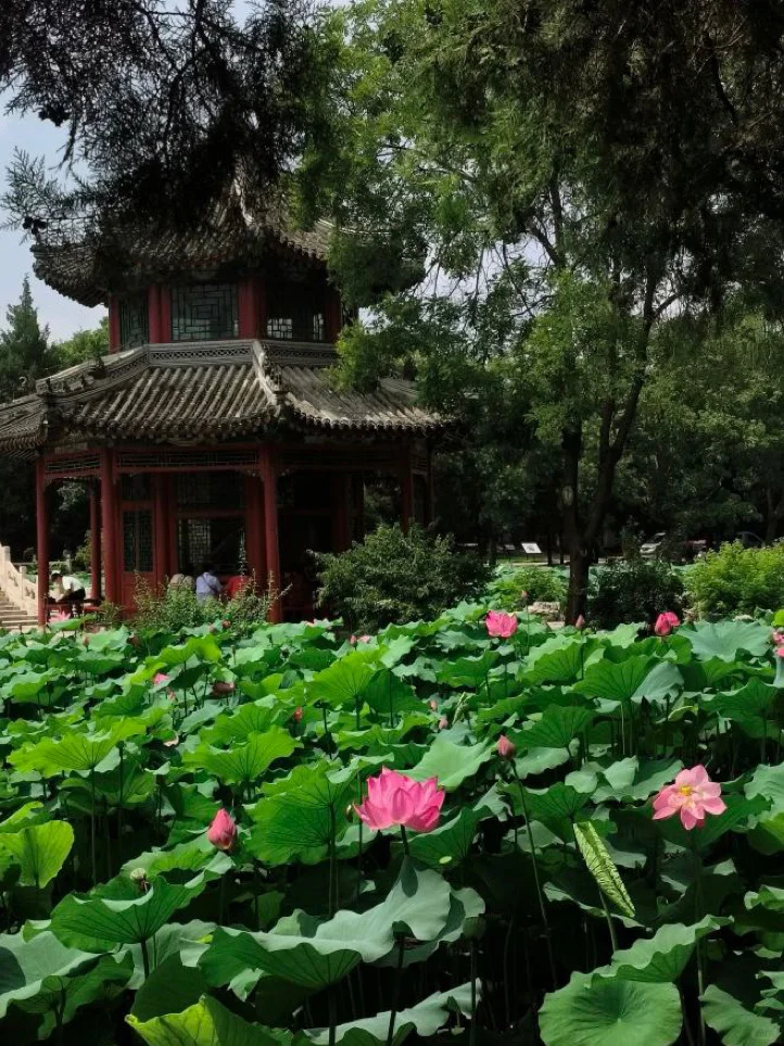 石家庄1h可达,一定要带娃去的自然博物馆!