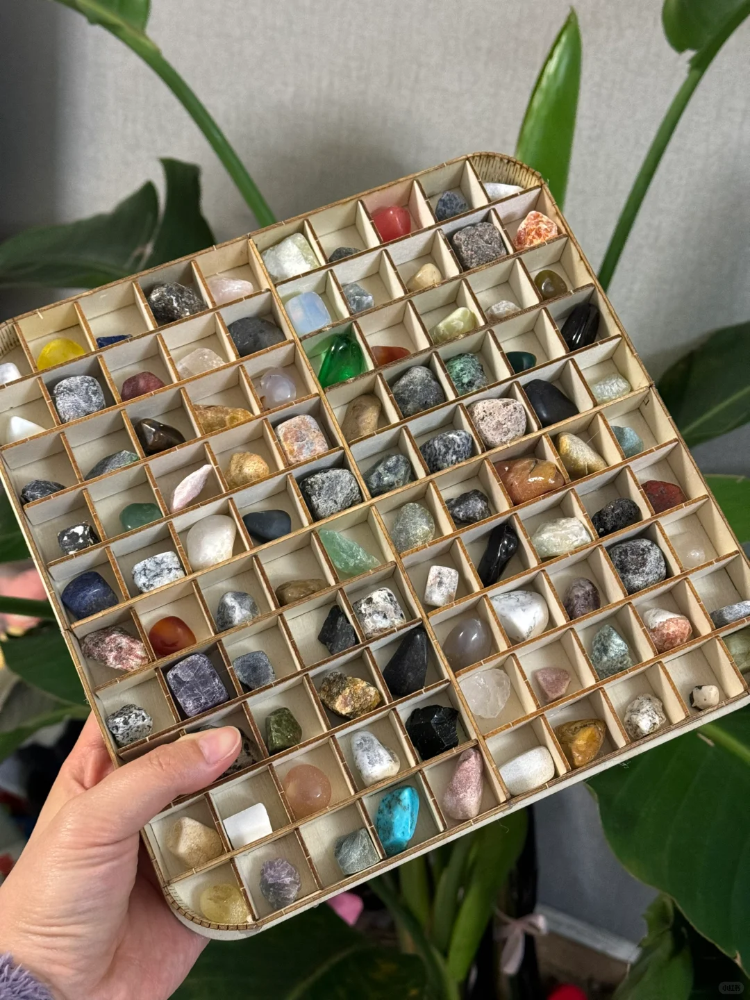 一儿一女，周末下雨天☔️大家怎么陪娃？