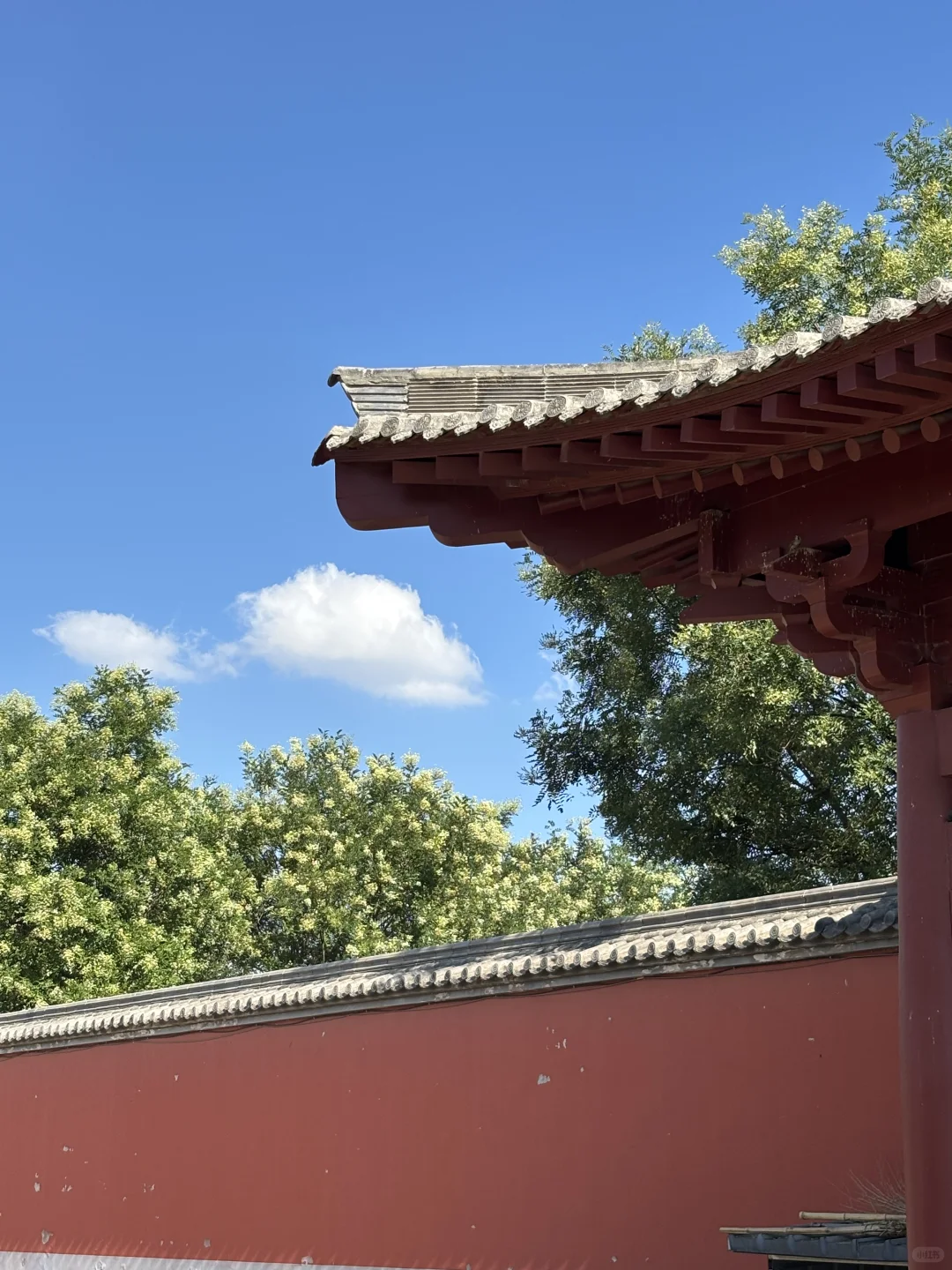 西安40的夏天，太热，下墓去也！！