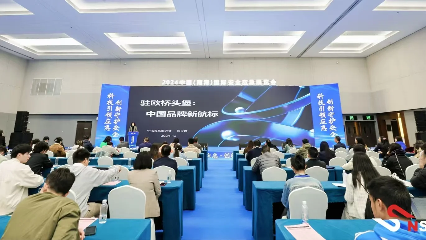 2024中国(南海)国际安全应急展览会。