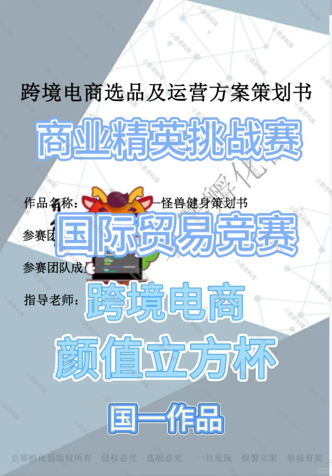 商挑跨境电商 颜值立法杯 国一精英赛作品