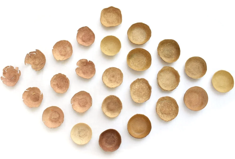 ?可持续材料分享-柑橘皮?