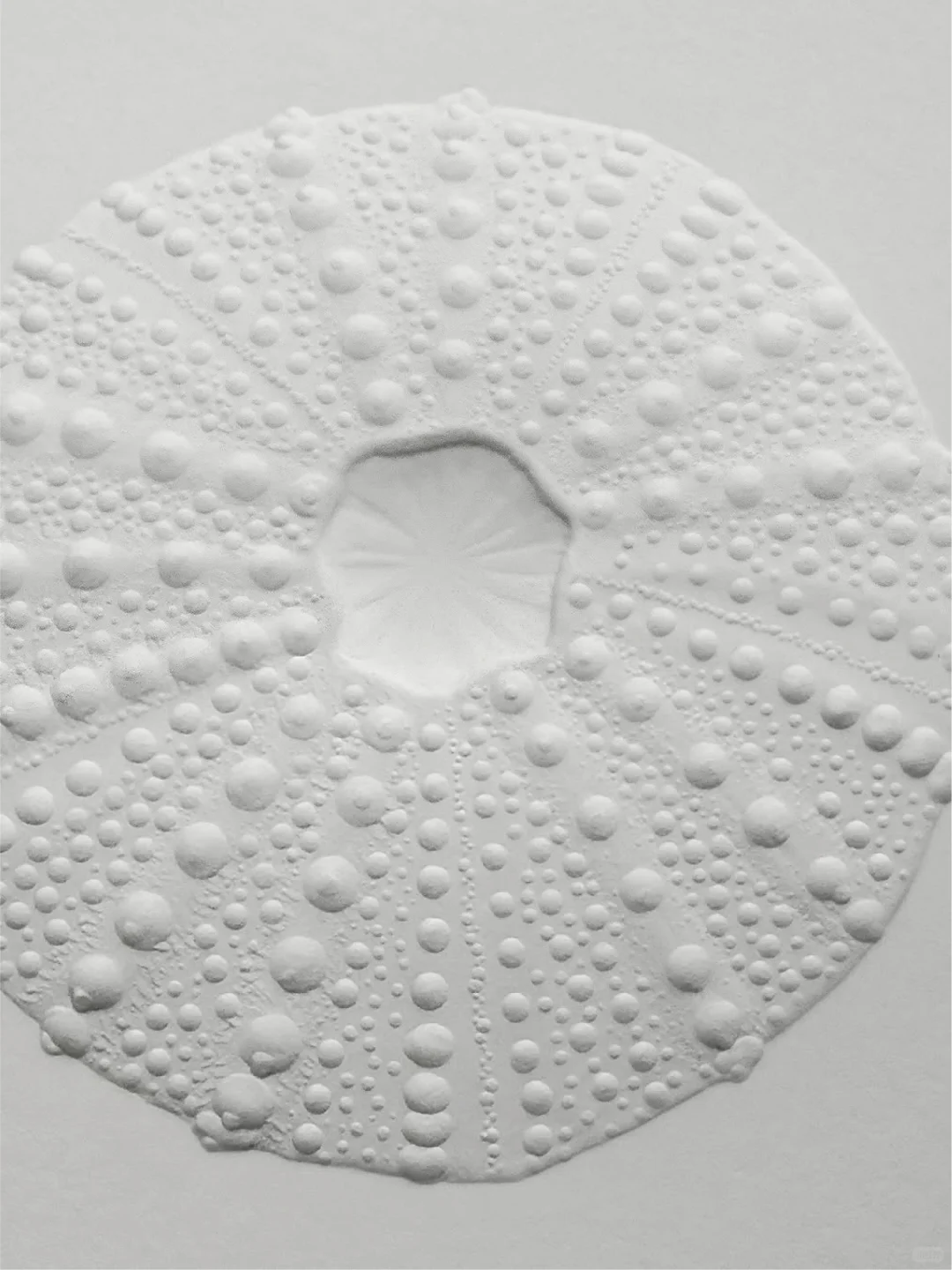 你永远可以相信奢侈品牌的审美！