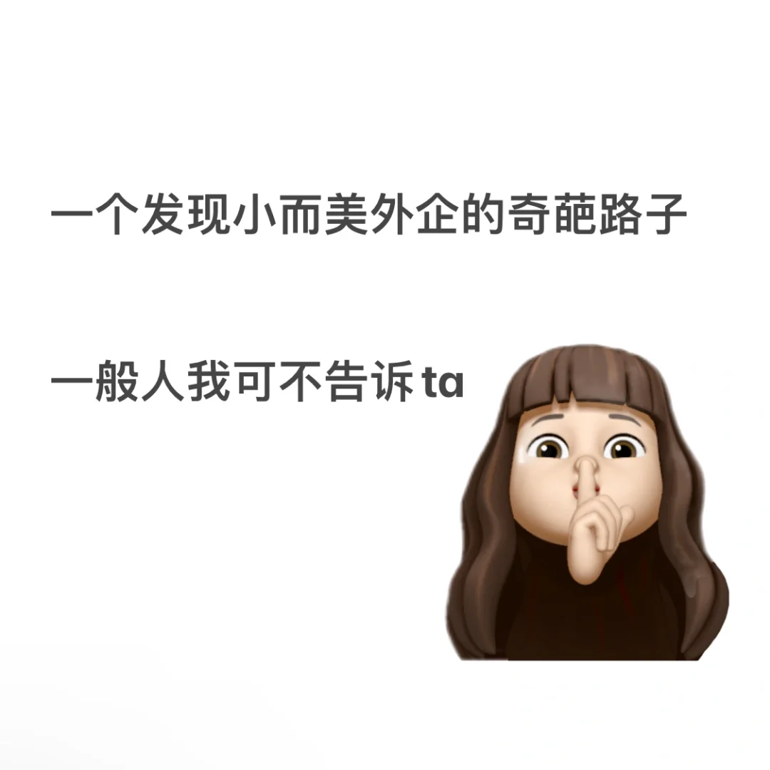 曲线救国—如何寻找小而美外企