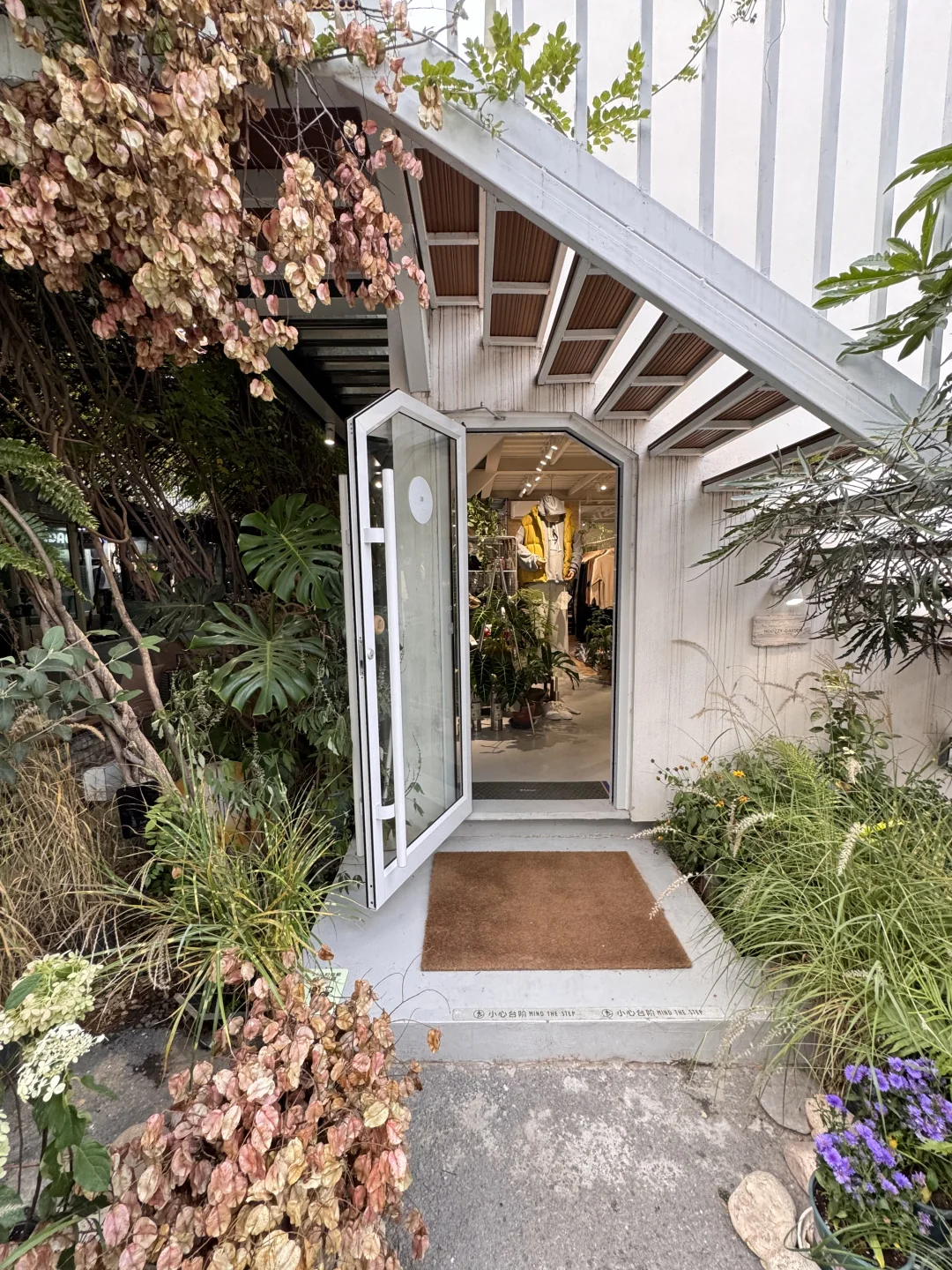 石家庄！！！市集！！免费的！！快去！！！