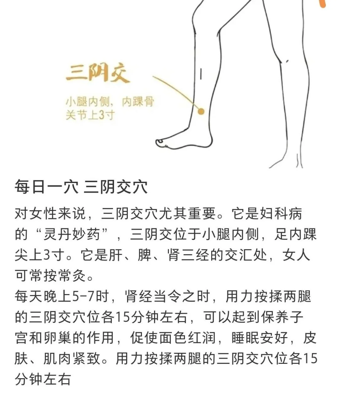 ⚠️25羟基维生素D?解释及自救指南