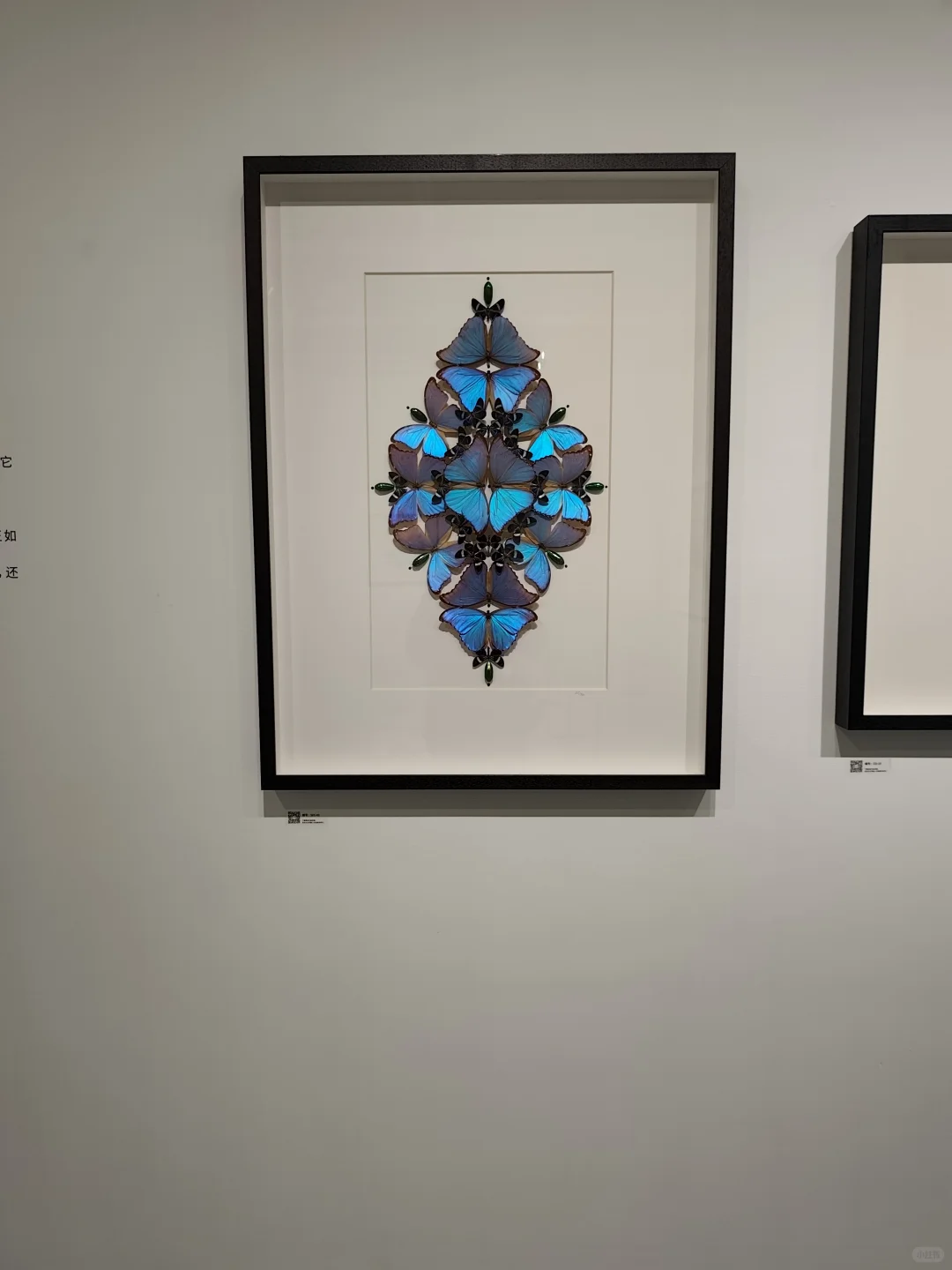 武汉看展闯进蓝紫色蝴蝶隧道!自然与