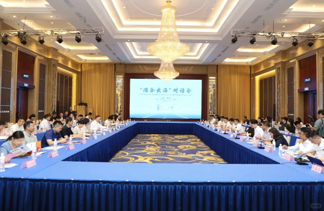 “潍企出海”对话会·架起桥梁助企扬帆远航