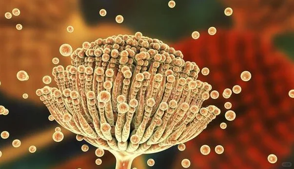 什么是抗菌面料?