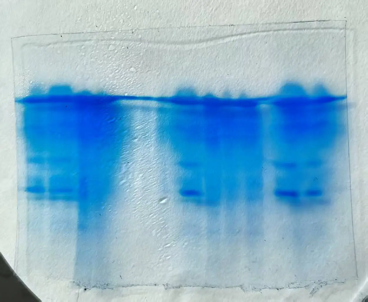 万能的小红书教教我吧