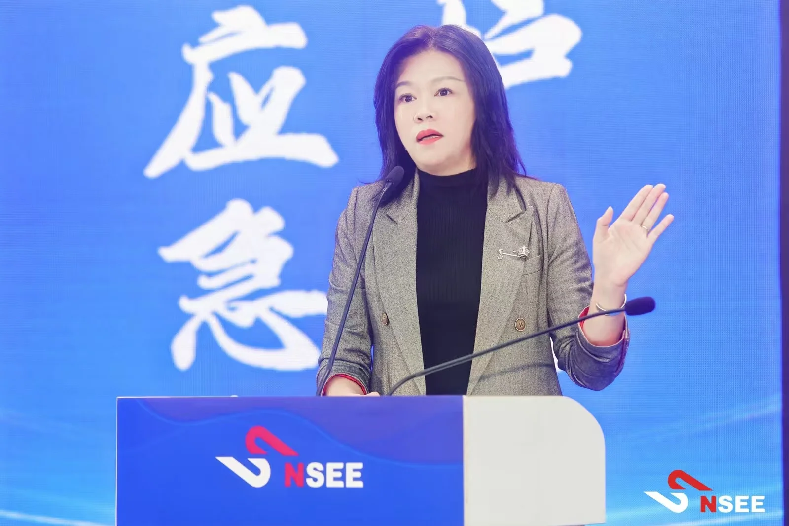 2024中国(南海)国际安全应急展览会。