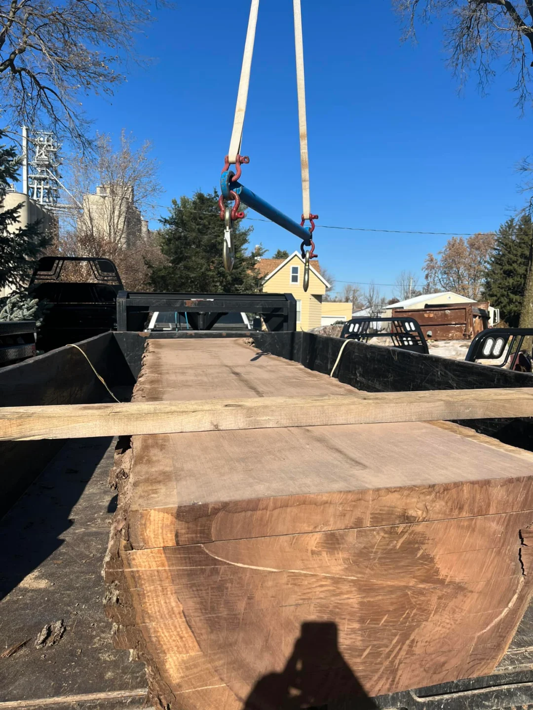 这就是黑胡桃木