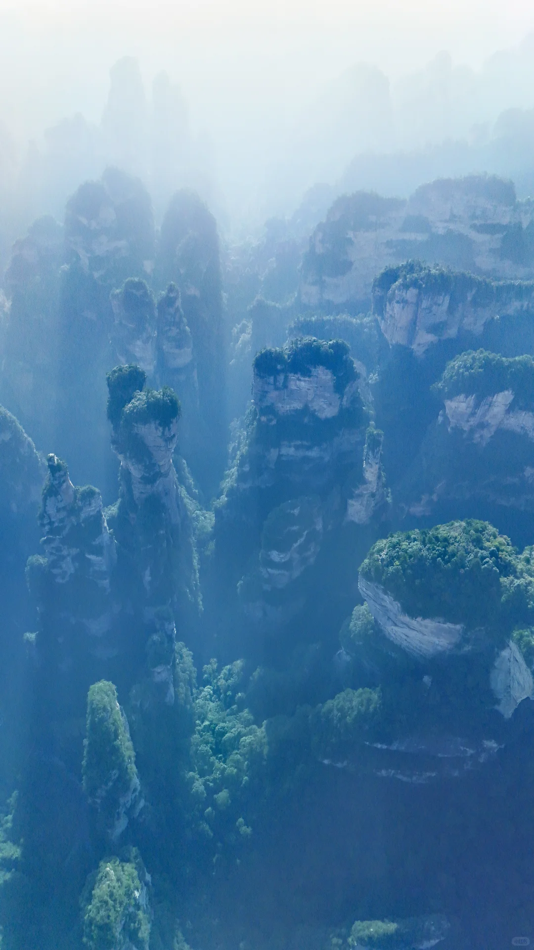 张家界国家森林公园一日特种兵攻略