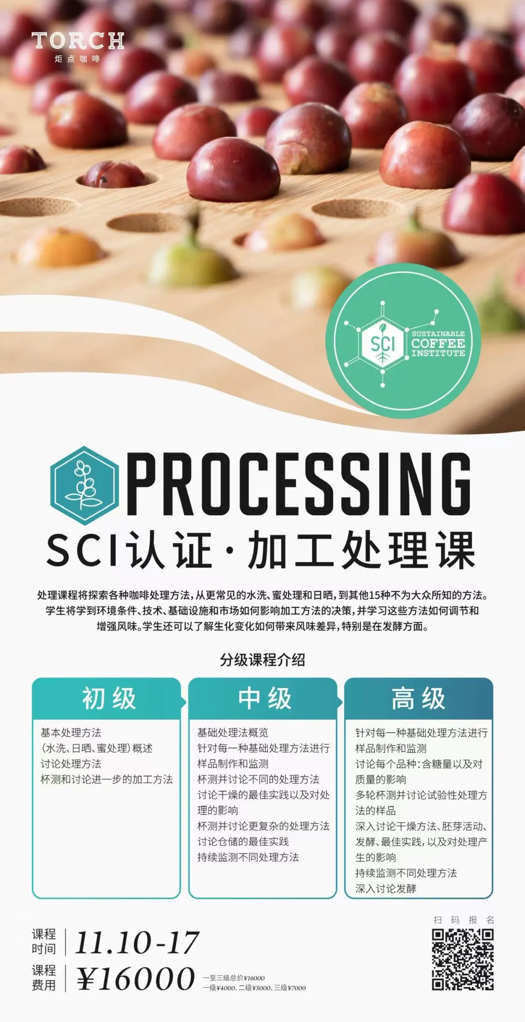 炬点生豆加工处理课