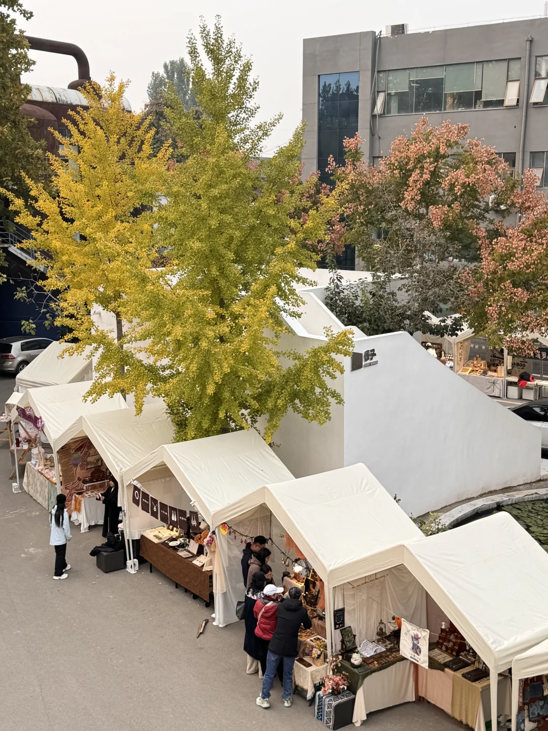 石家庄！！！市集！！免费的！！快去！！！