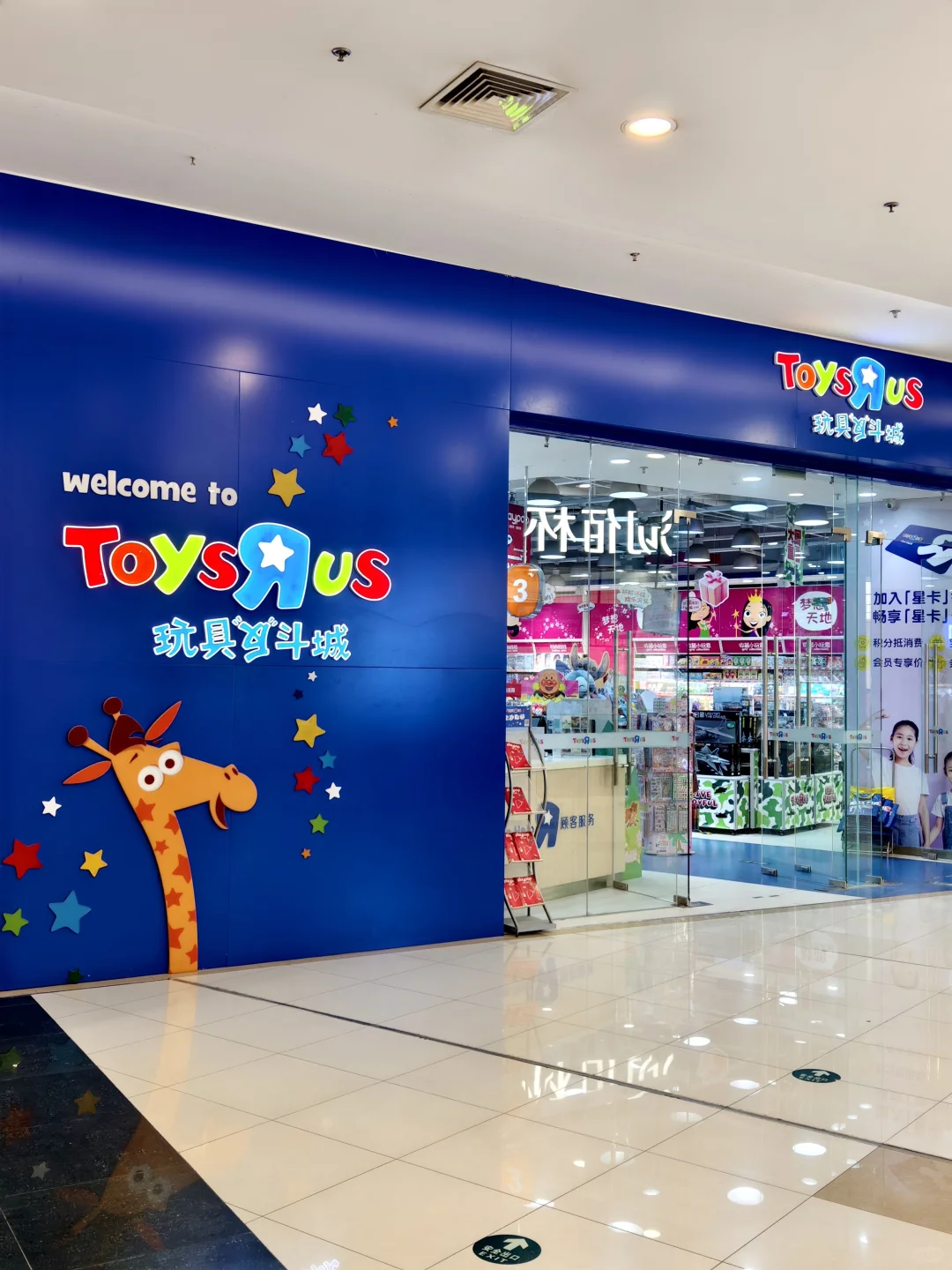 今年五岁生日 孵化了一只侏罗纪霸王龙?