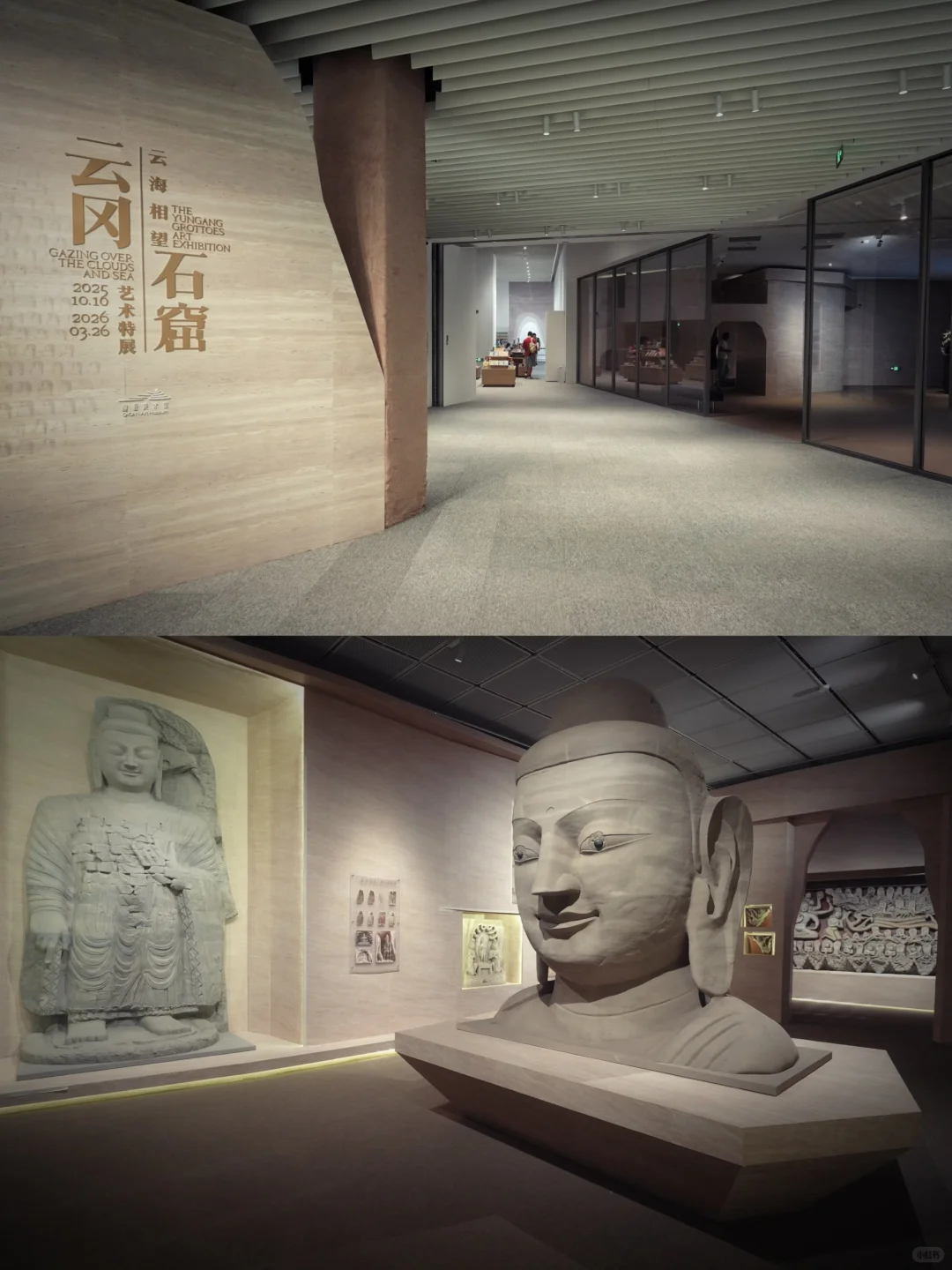 上海新展|限时必看!今年zui震撼展来袭!