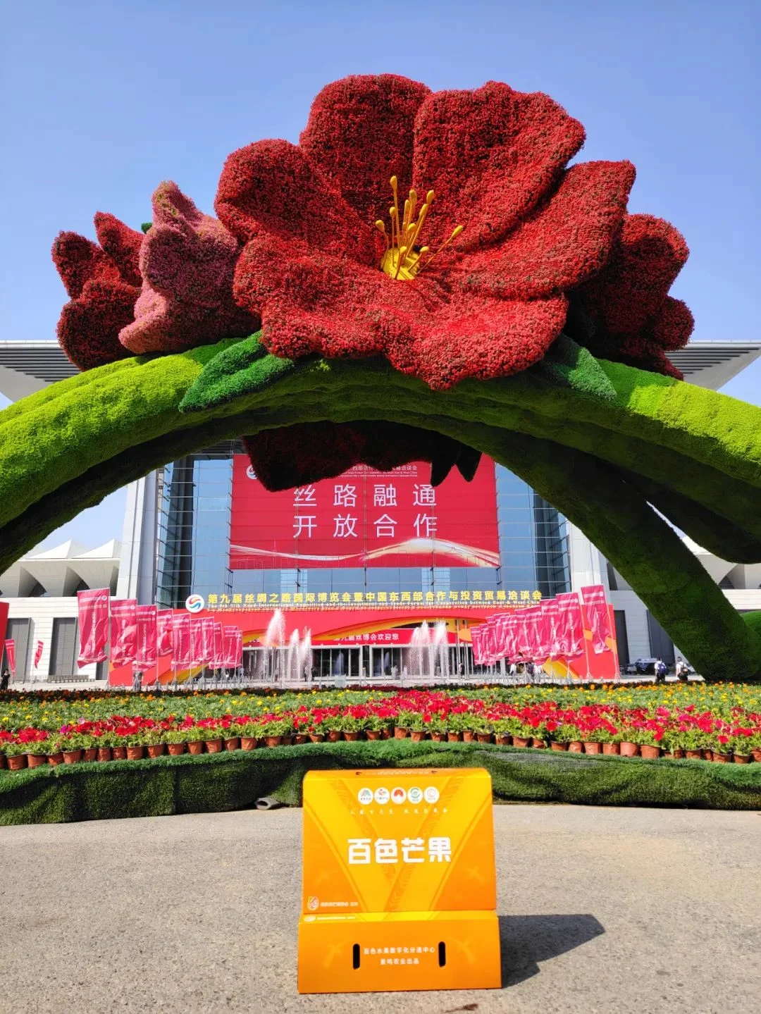 广西百色芒果地标产品闪耀第九届丝博会