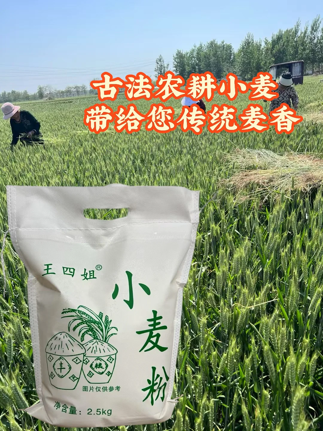 多亏这年头有网络，才能让我家日晒面走出去