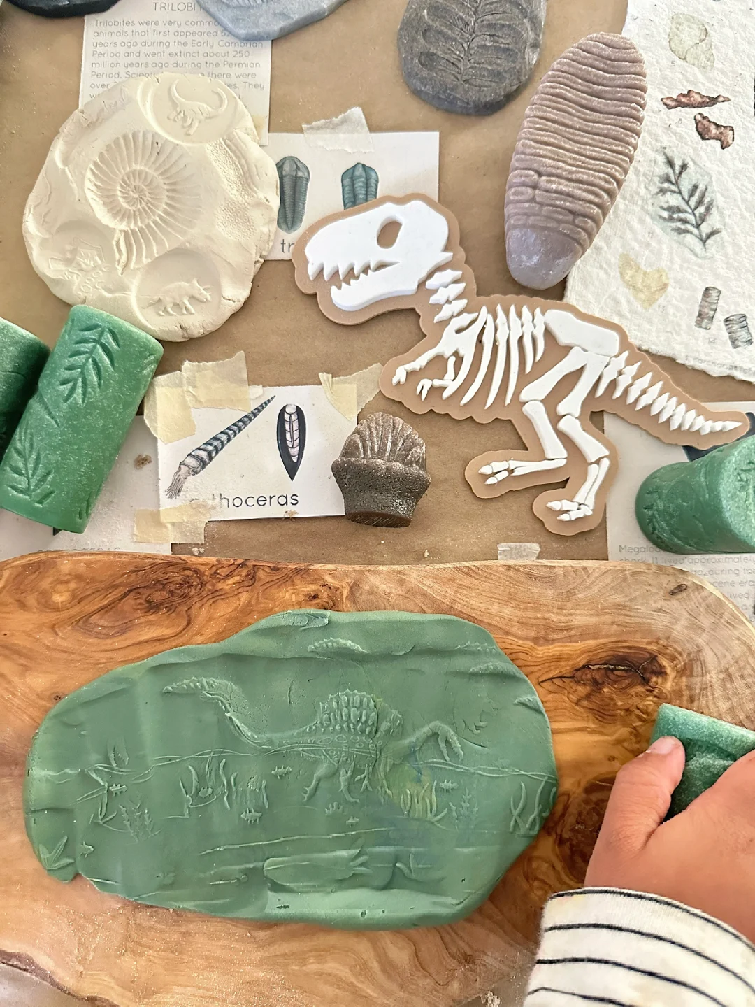 ??????| 在家挖化石之考古感官盒2