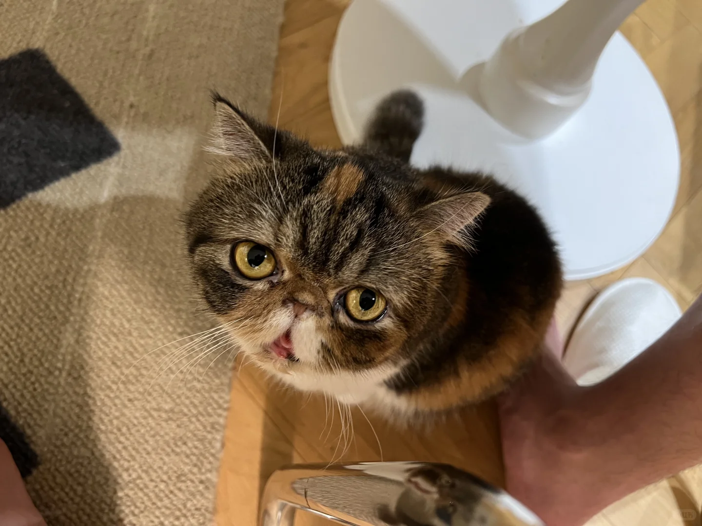 国际低空经济博览会2025