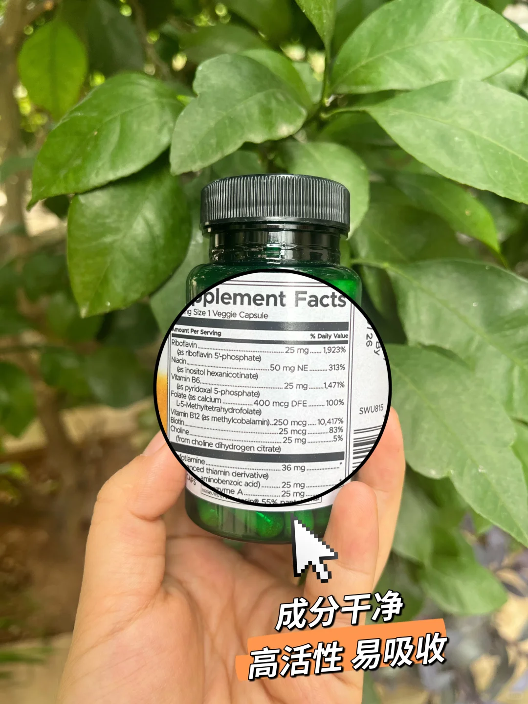 一图看懂B族维生素大家族～