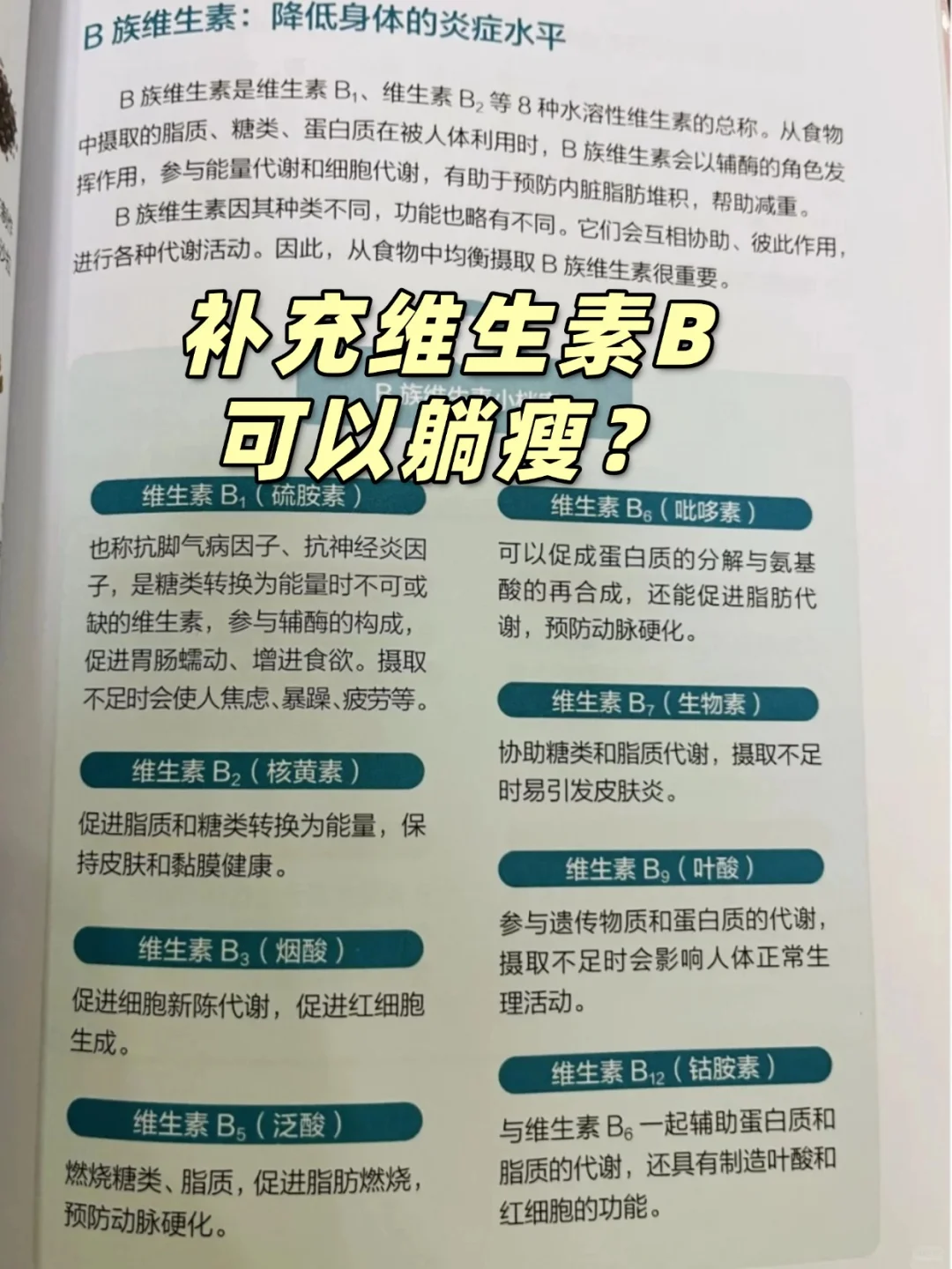 减肥总卡平台期？可能是缺维生素B了