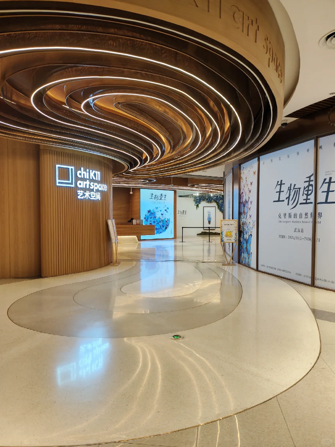 武汉看展闯进蓝紫色蝴蝶隧道!自然与