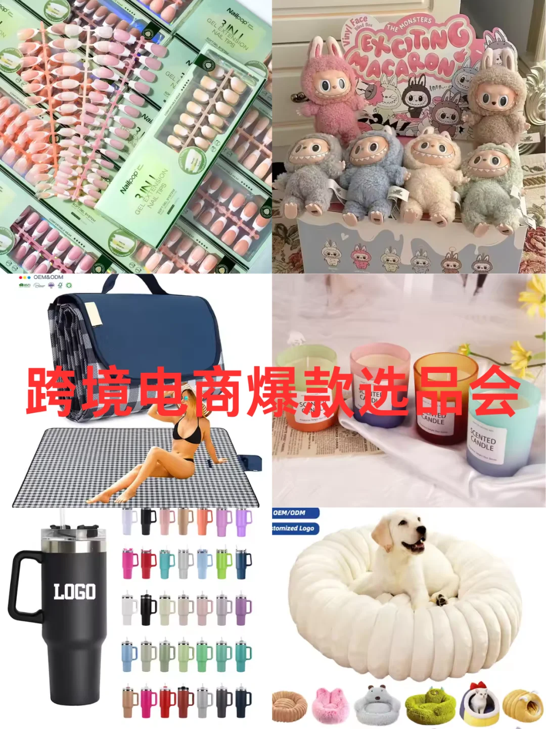 杭州跨境峰会来啦