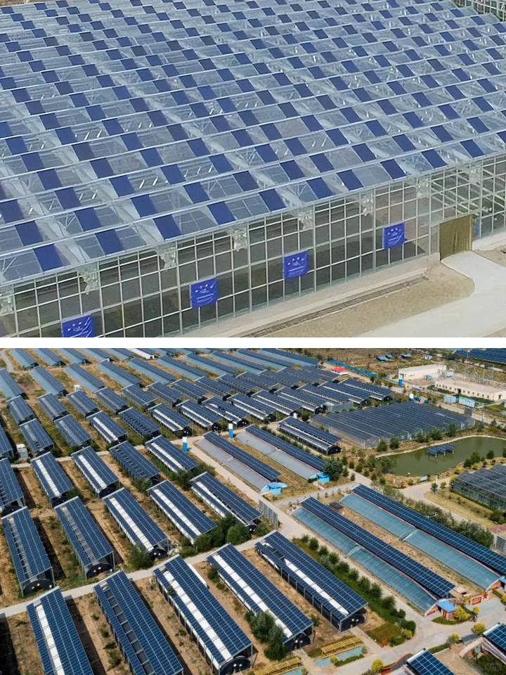 光伏鱼菜共生：上面光伏发电，下面种菜养鱼