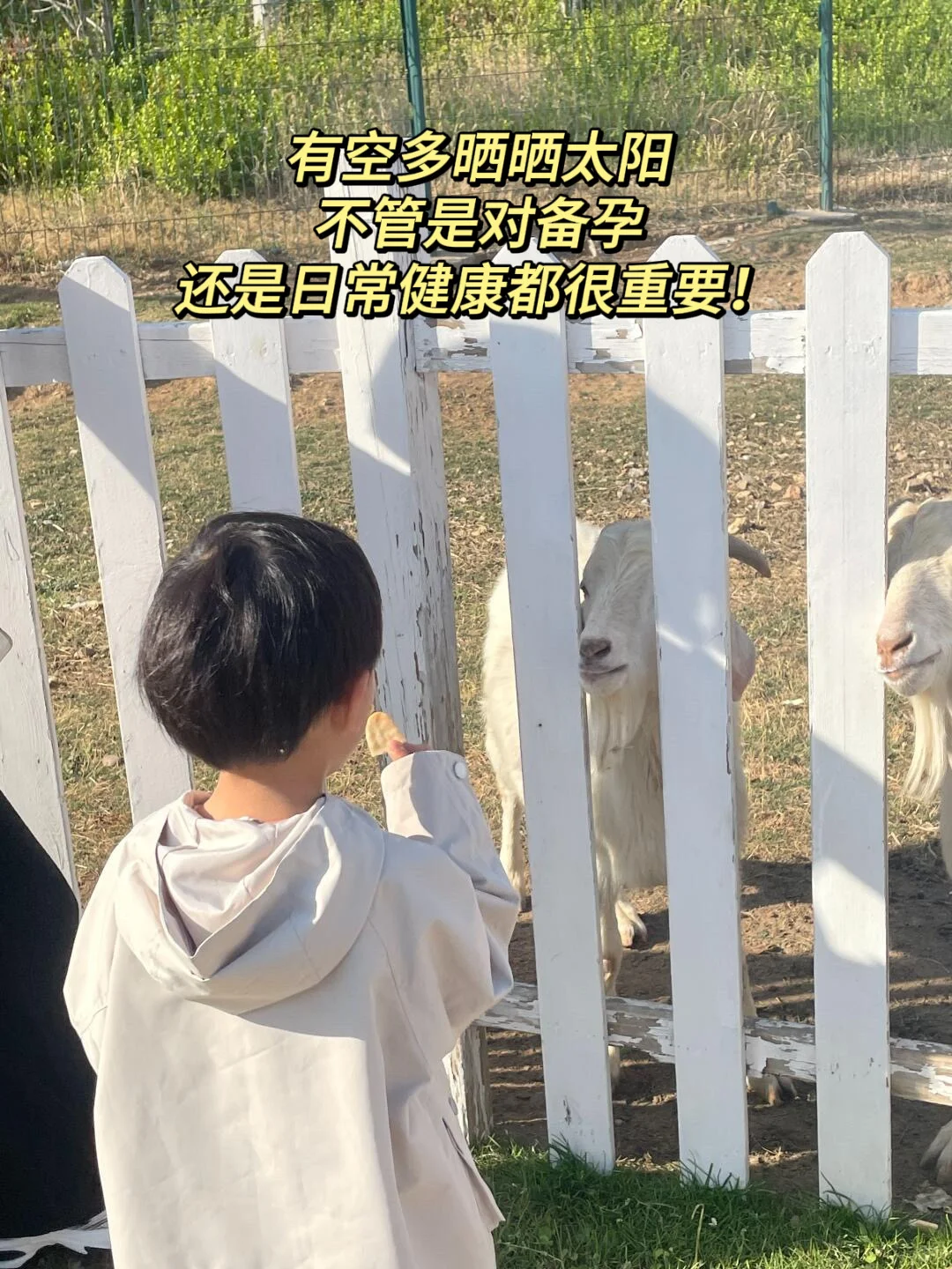 备孕补维D,过来人说点大实话