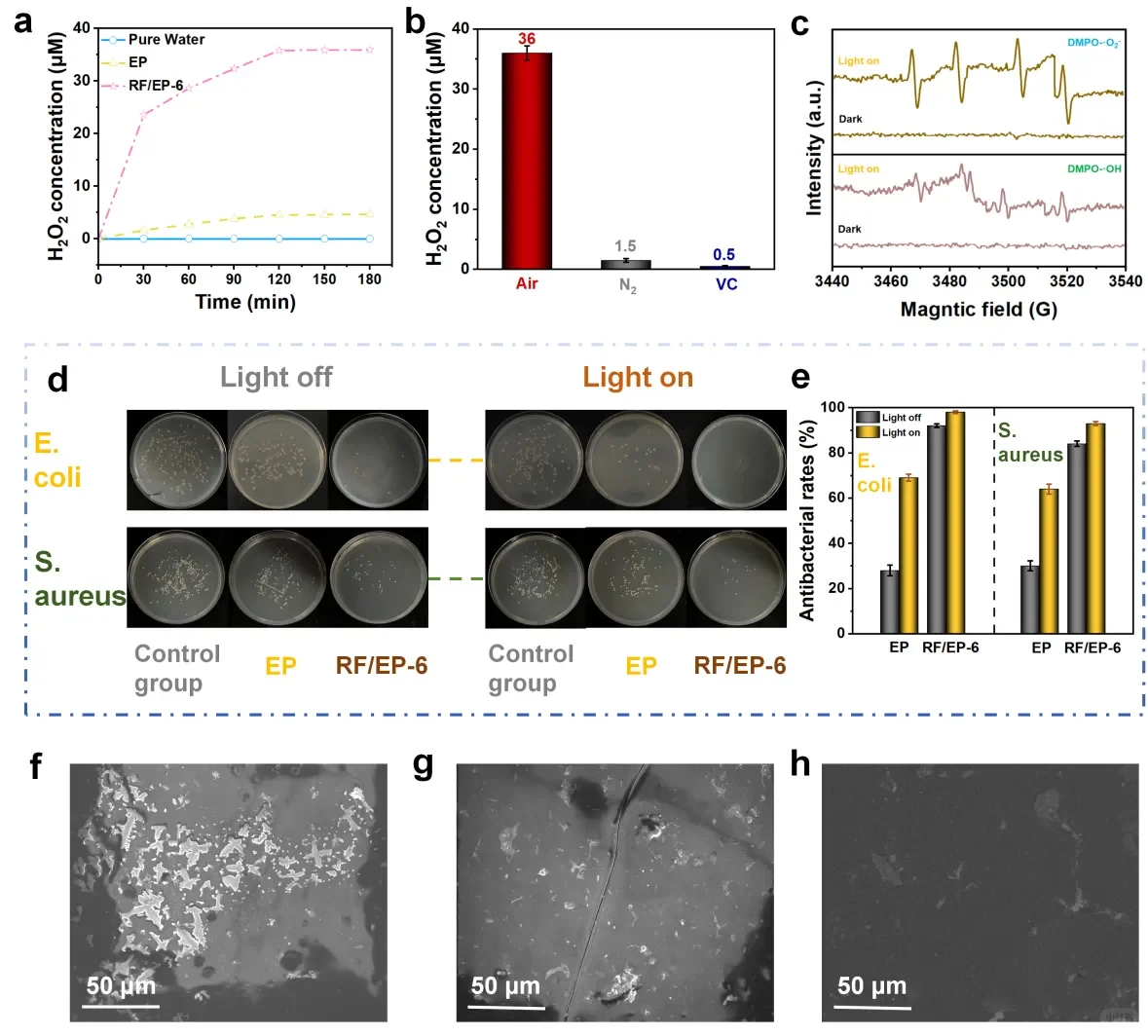 海洋设备救星!复合涂层超厉害✨