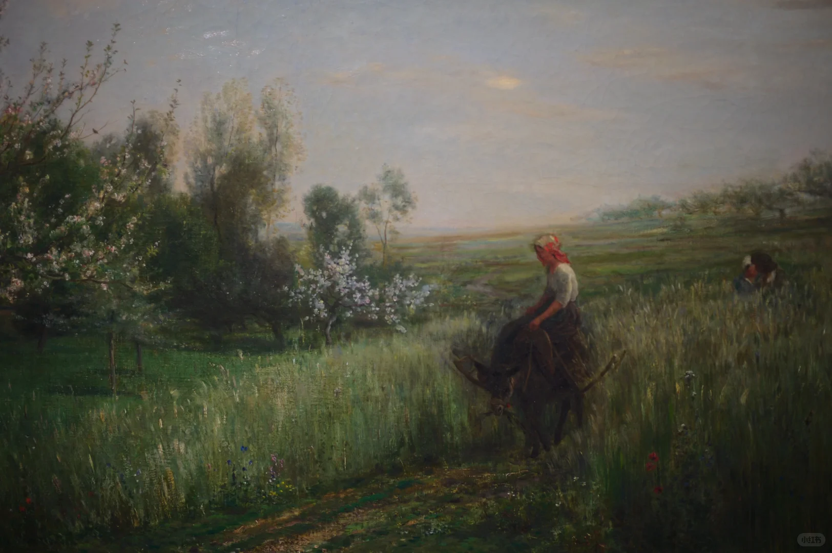 关于我花了120在浦美看了奥赛展这件事