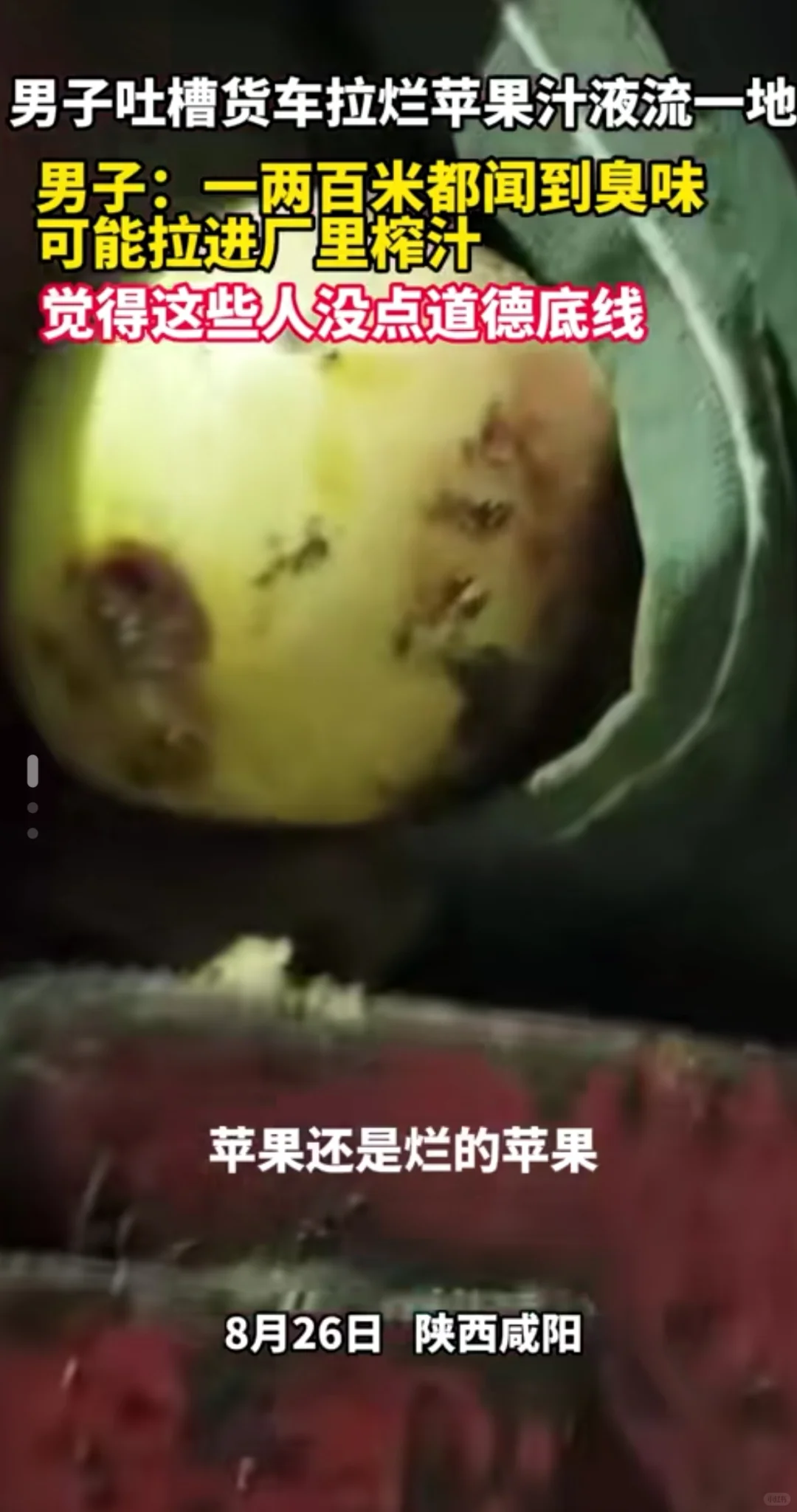 陕西咸阳一果汁厂全用烂苹果榨汁遭吐槽