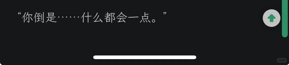“你倒是……什么都会一点。”训诫（黑帮/金丝雀