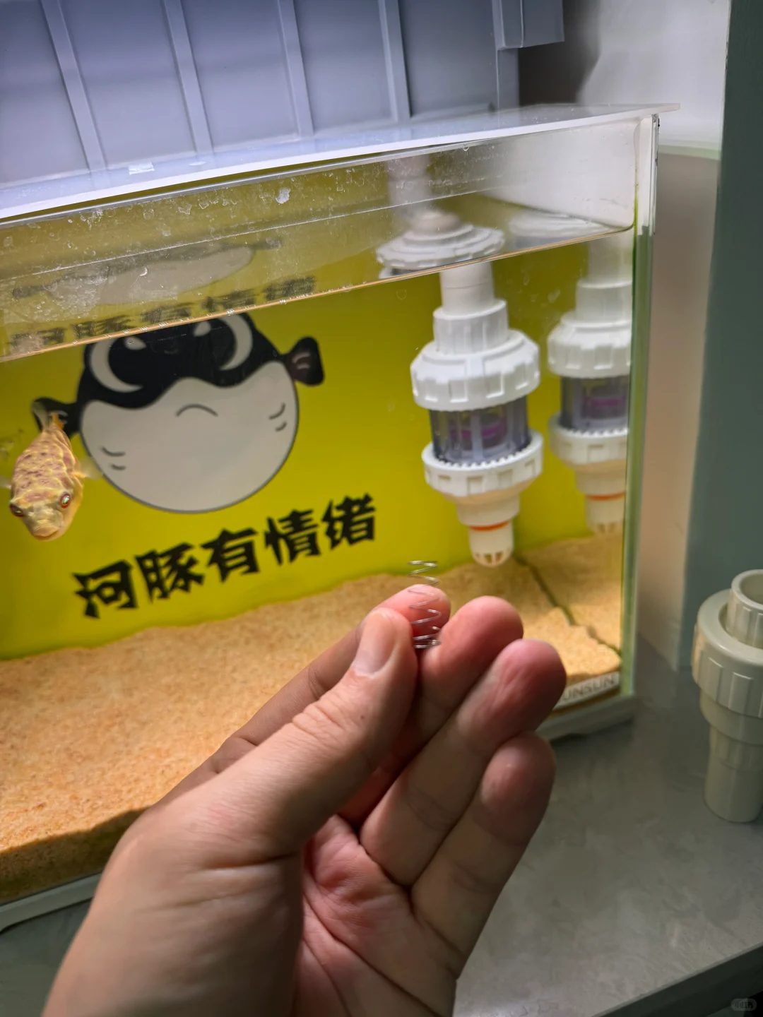 内置水泵上滤滴流盒进水止回阀问题