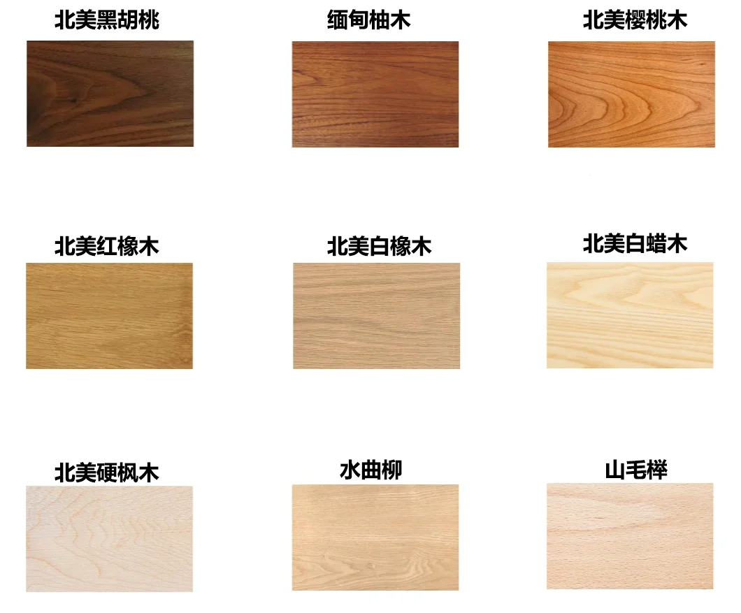 一图看懂家具木材