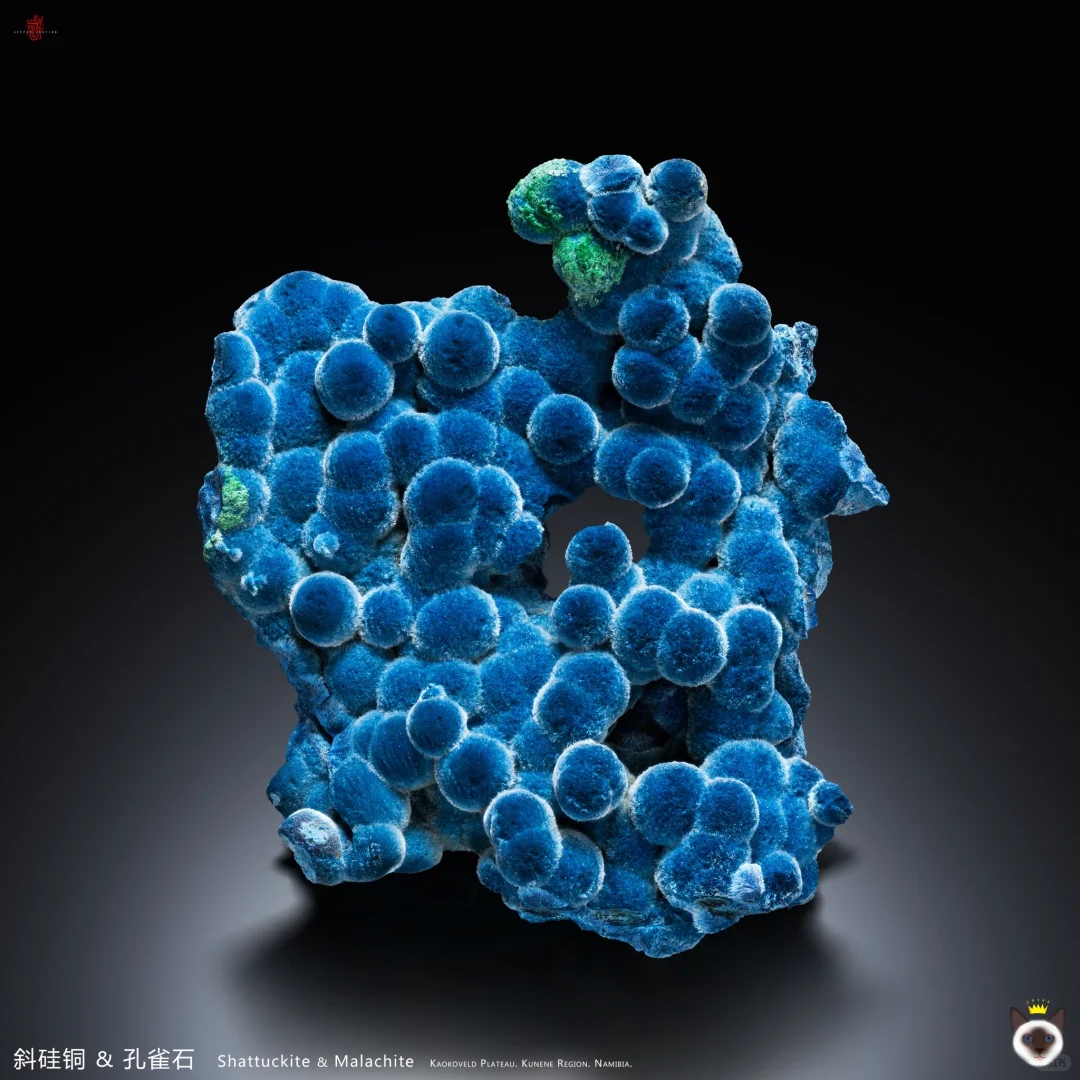 曝光个新型盗图