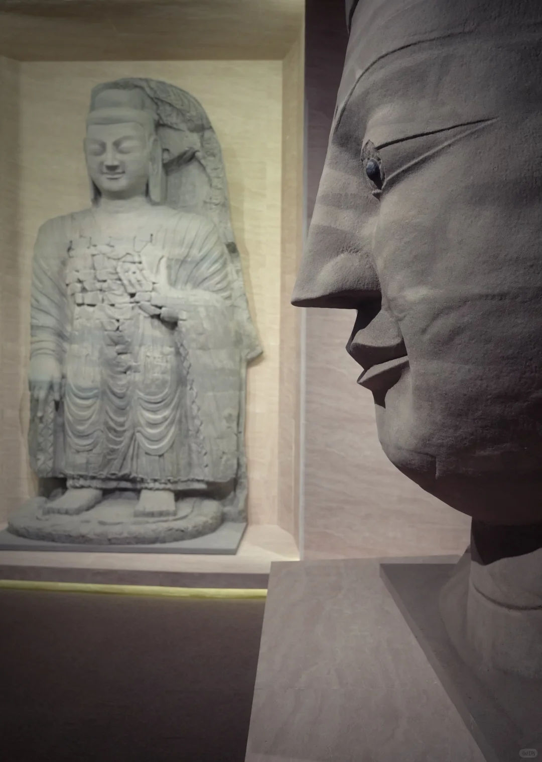 上海新展|限时必看!今年zui震撼展来袭!