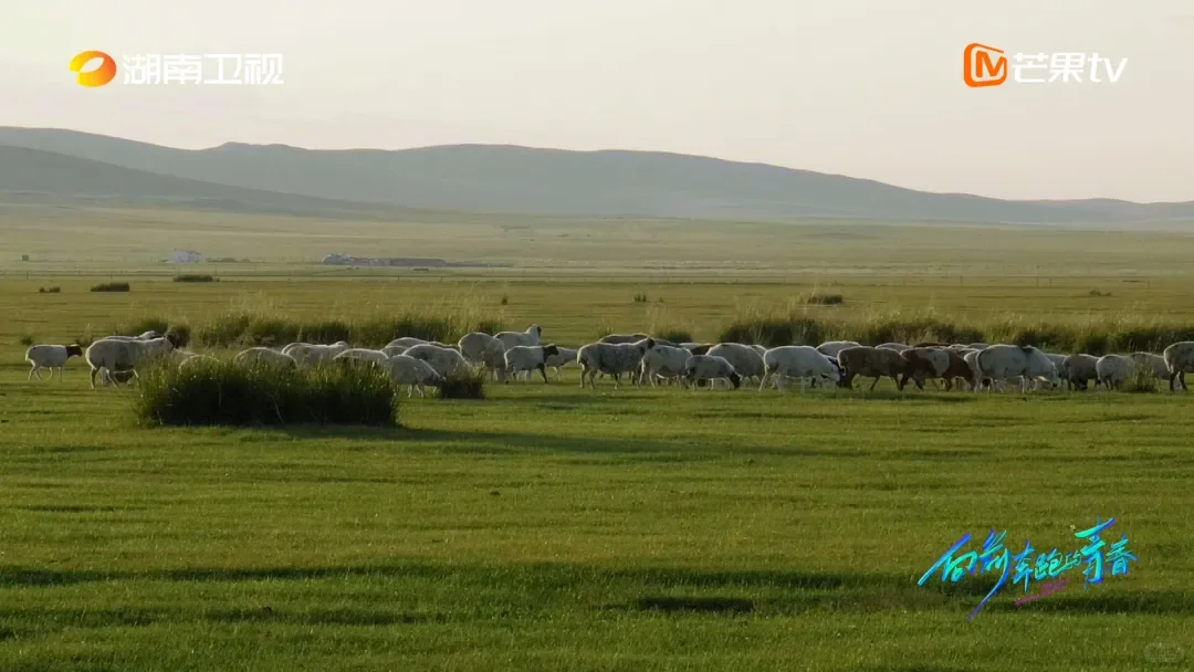 光伏治沙 水上光伏
