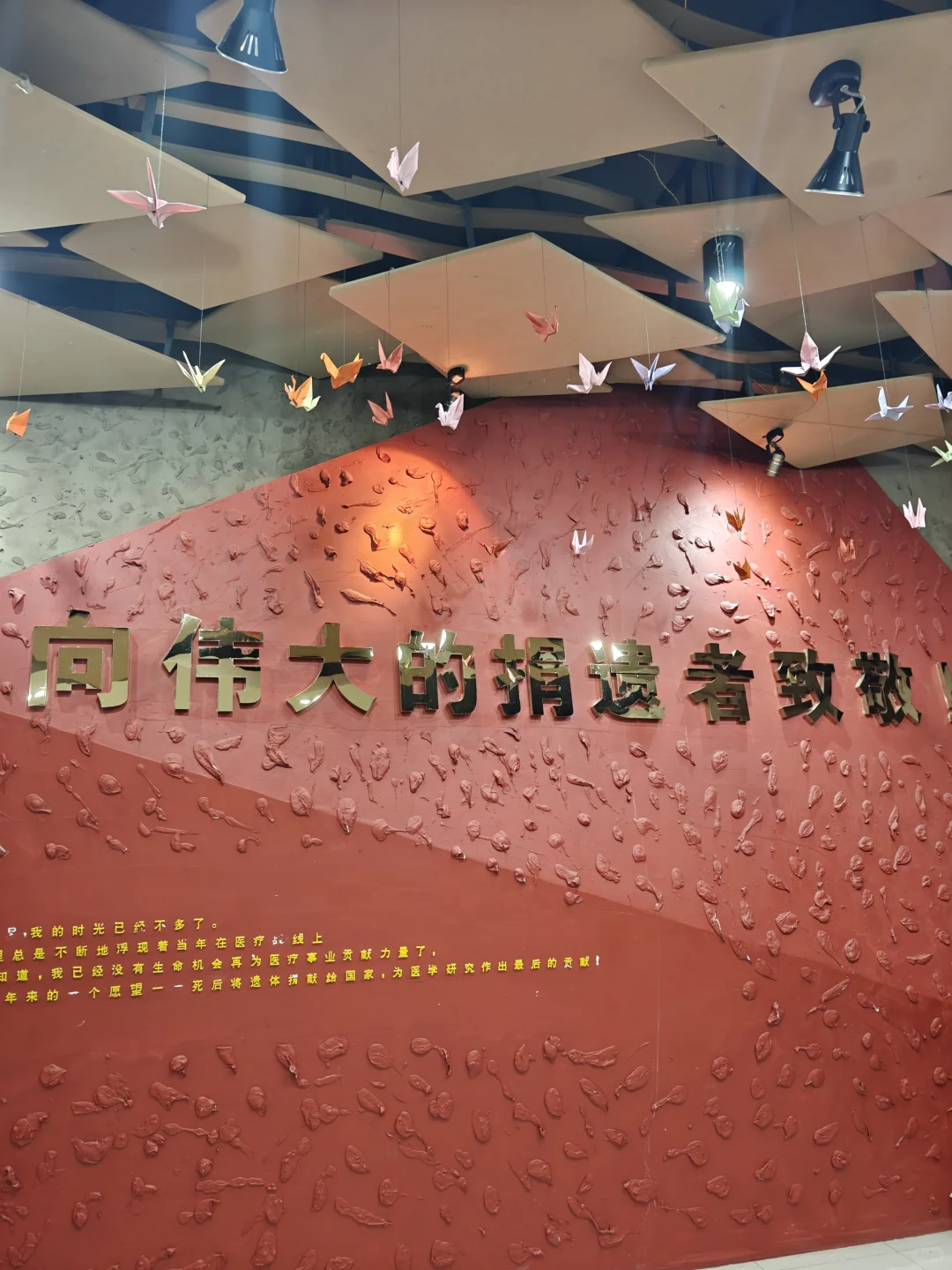 约上了❗沈阳医学院人体科学展览攻略