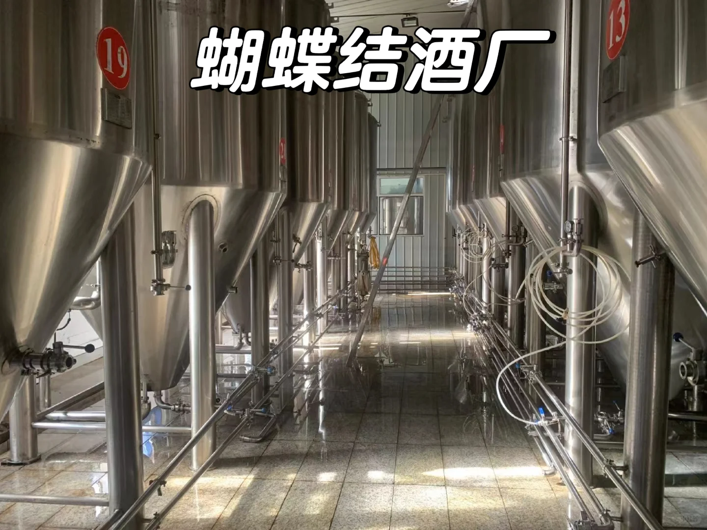 蝴蝶结精酿，桶啤供应链，无起订量