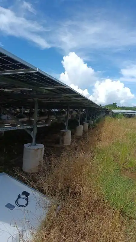 如何做太阳能发电站！Wilbest 带你走进