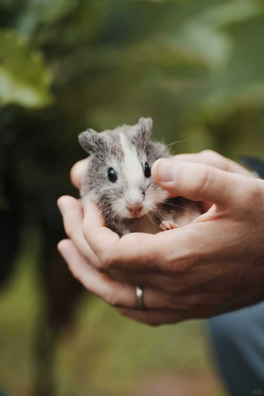 炬点生豆加工处理课