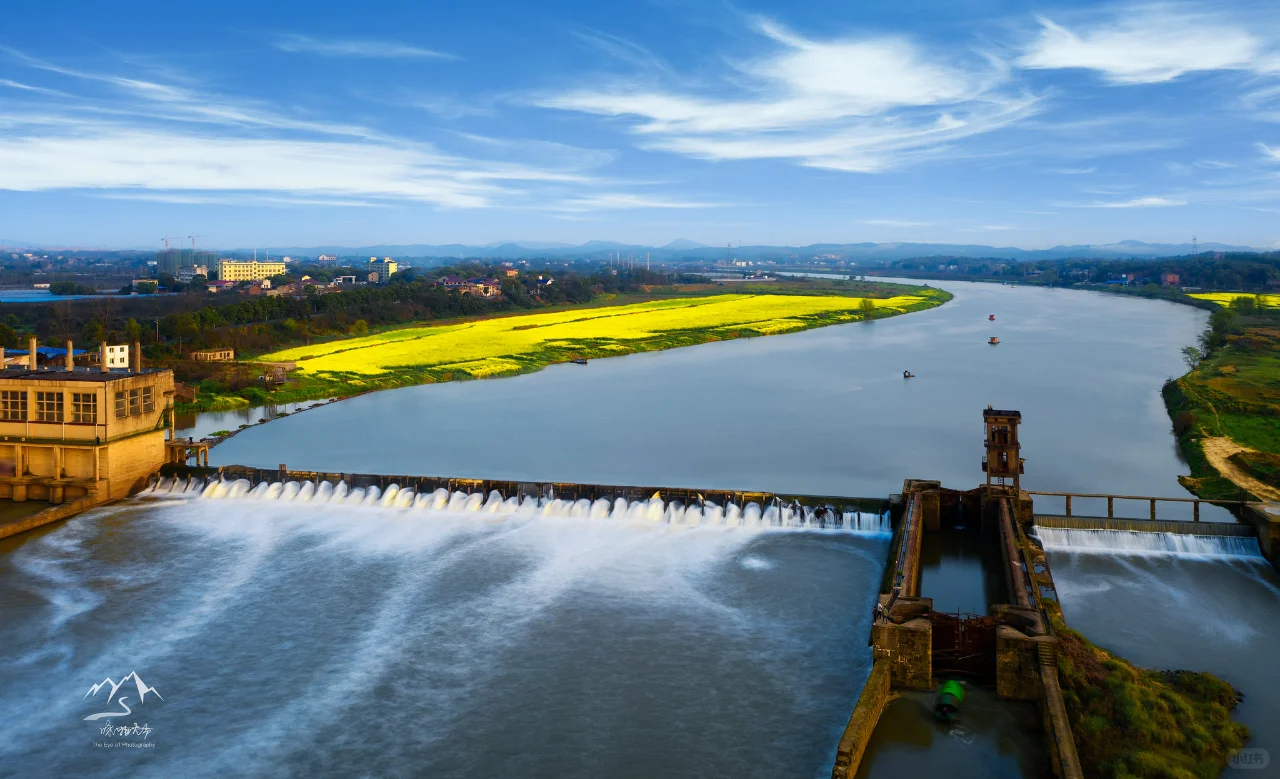 「能源之光」丨官方影展