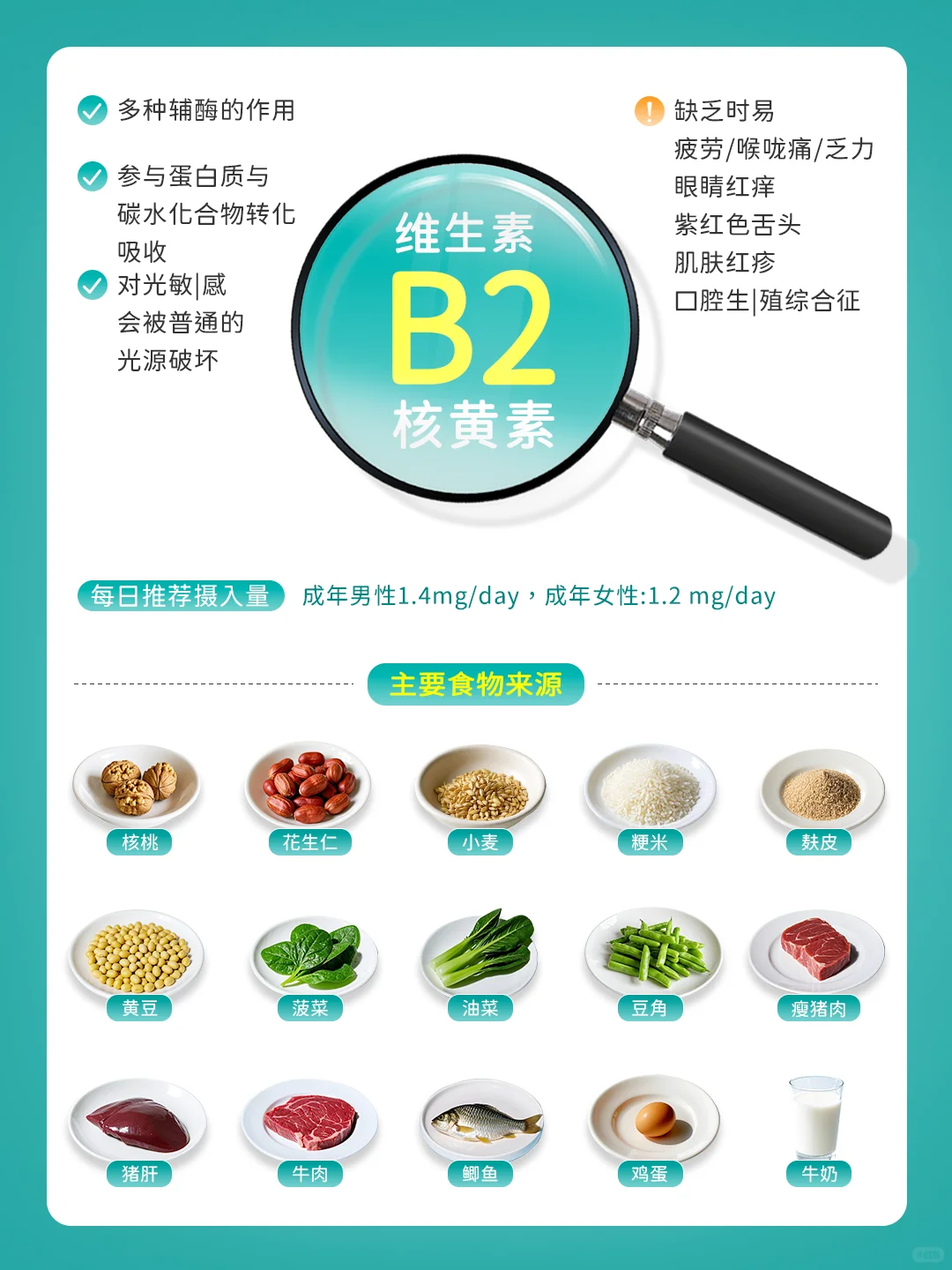 补充维生素B族：吃对食物才能打出完美配合