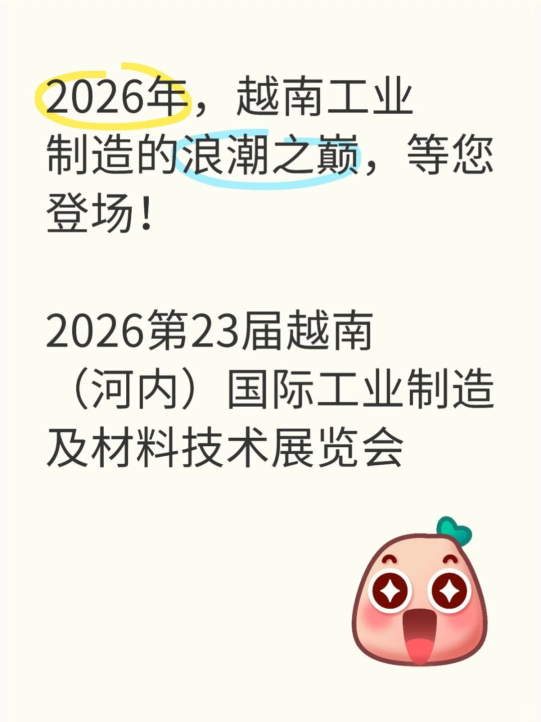 2026年，越南工业制造的浪潮之巅，等您登场