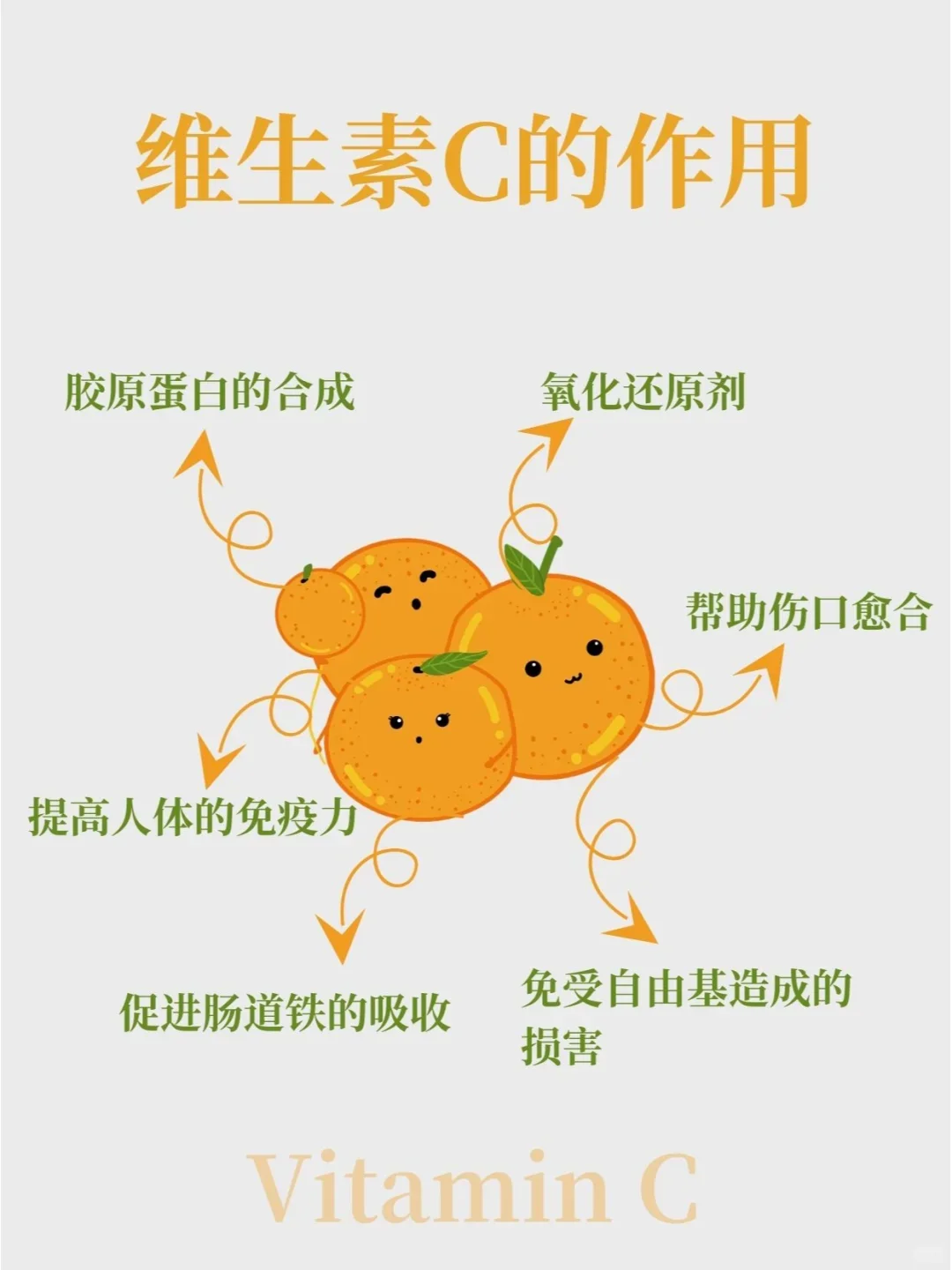 维生素C的小秘密,你知道多少?