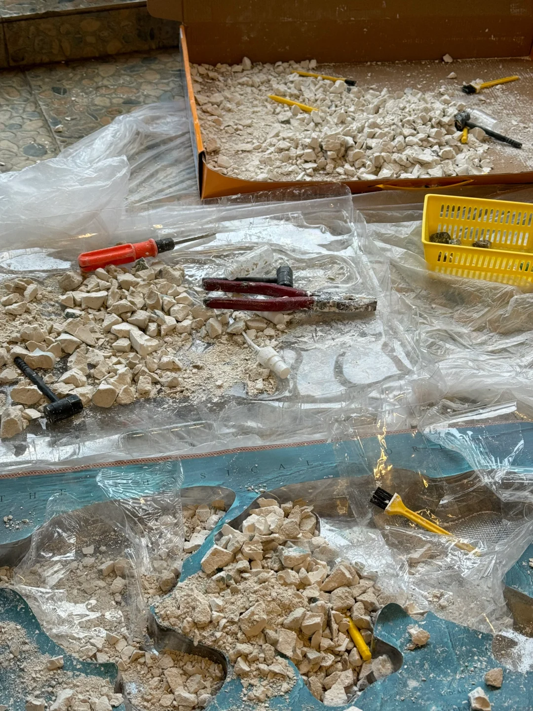 一儿一女，周末下雨天☔️大家怎么陪娃？