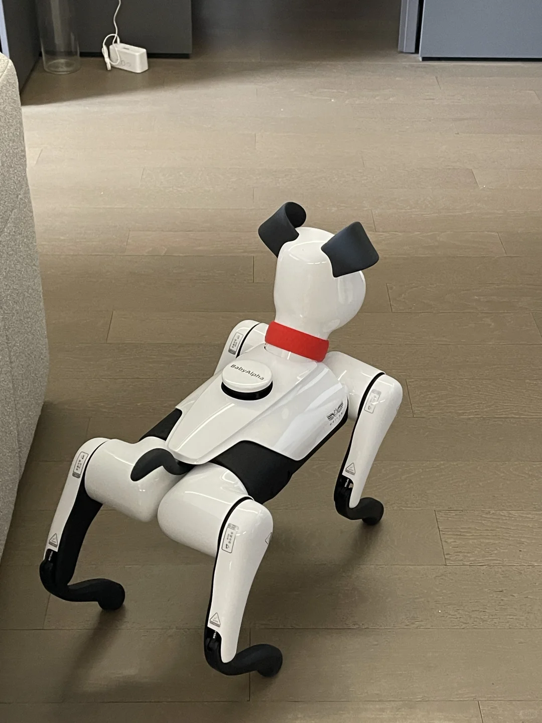 斥资买的机器狗！AI走进我的家哈哈?